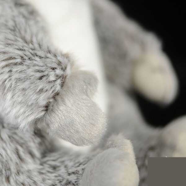 Australian Koala Plush Toy - Image 5