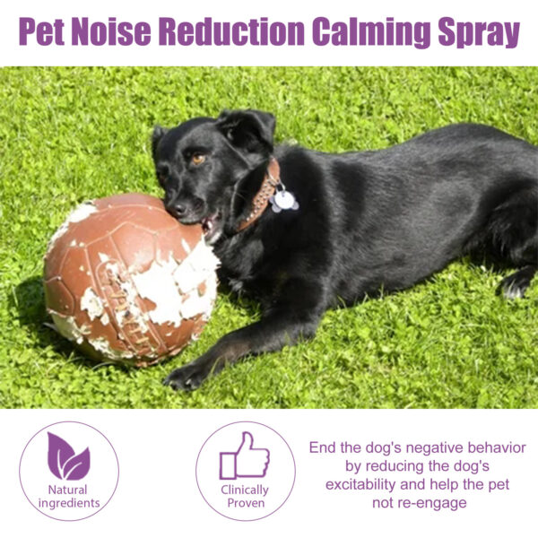 Pet Noise Reduction Spray ( Soothing Pet Calm Mood) - Image 6