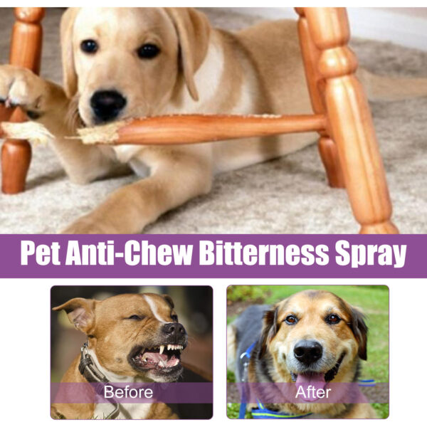 Pet Noise Reduction Spray ( Soothing Pet Calm Mood) - Image 4