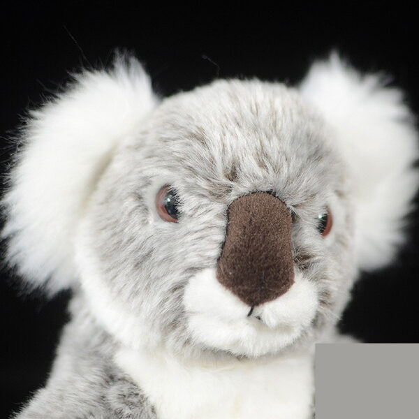 Australian Koala Plush Toy - Image 3