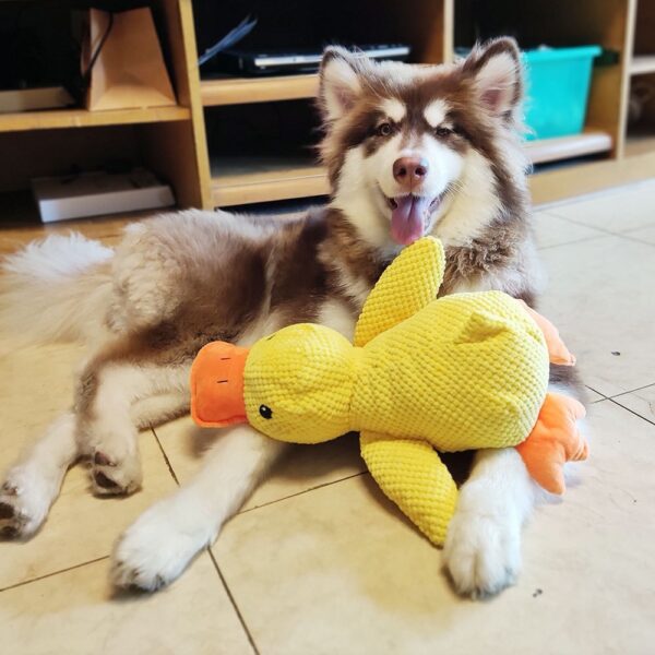 Bite-Resistant Dog Cuddle Toy - Image 5